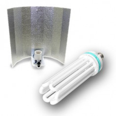 Kit Eco CFL 250 W -...