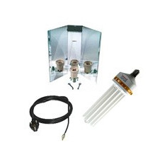 Kit Eco CFL 250 W - DUAL...