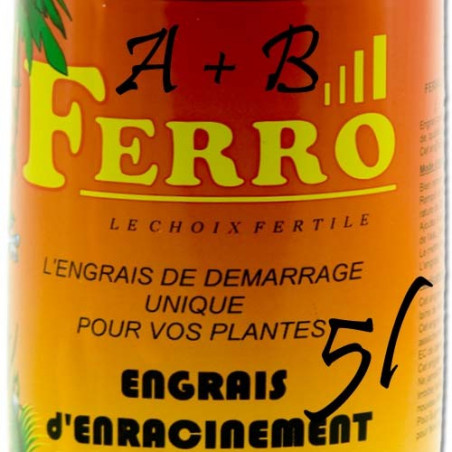 Ferro - Enracinement A + B - 2 x 5 L
