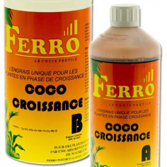 Ferro - Coco Grow A + B - 2...