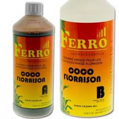 Ferro - Coco Bloom A + B -...