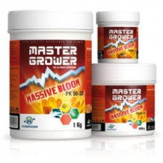 Massive Bloom 100 g