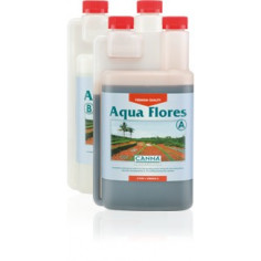 Canna  Aqua Flores A + B...