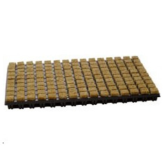 Plateau de Bouturage...