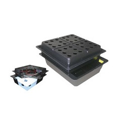 Amazone  75 x 85 x h 39 cm...