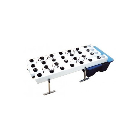 Aeroflos  28 plantes  180x67xh 44 cm