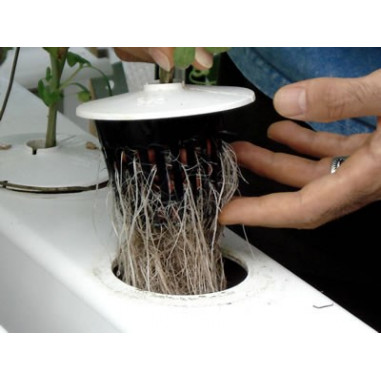 Aeroflos  28 plantes  180x67xh 44 cm