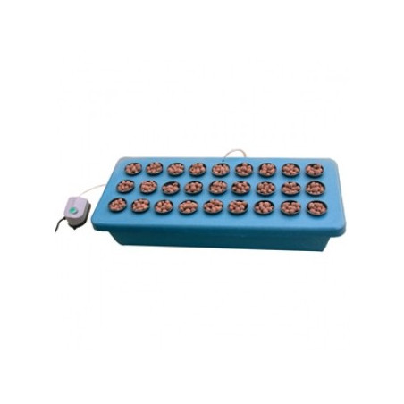 Cutting Board  27 Plantes