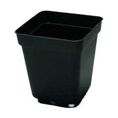 Pot carre / Godet (7X7xH8cm)