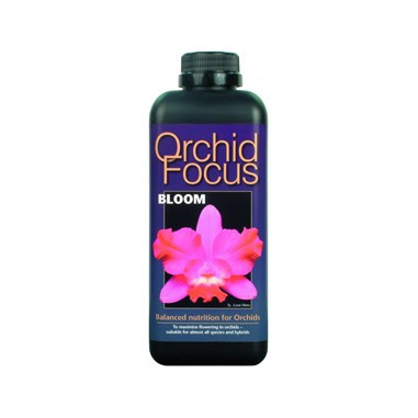 Ionic Orchid Focus Bloom 1 L