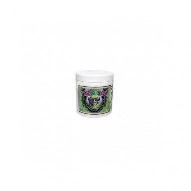 Advanced Nutrients Big Bud - 500 g