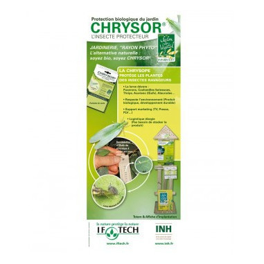 Chrysor - 32 bandelettes - 4mÂ²