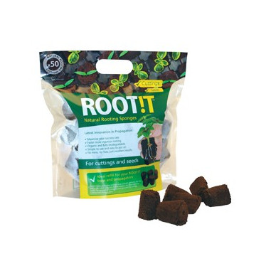 ROOT IT 50 Blocs