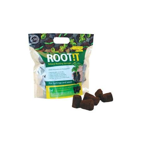 ROOT IT 50 Blocs